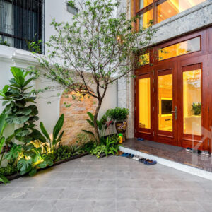 Cây xanh ngoài sân nhà