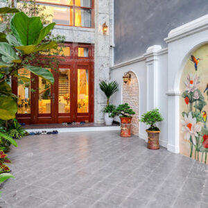 Các chậu cây có mặt mọi nơi