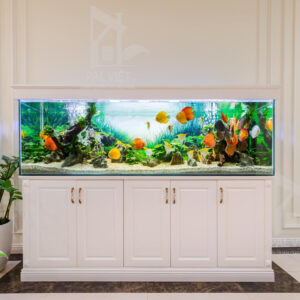 Bể cá nhỏ nổi bật trong phòng khách