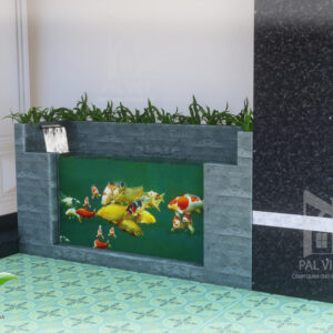 Hồ cá Koi trong nhà anh Tấn 2