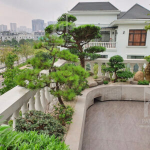 Một góc ban công